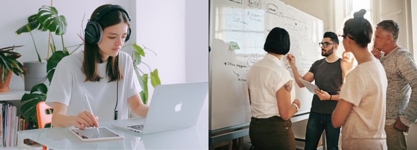 Freelancers vs PMP Certified Teams: Who Wins?